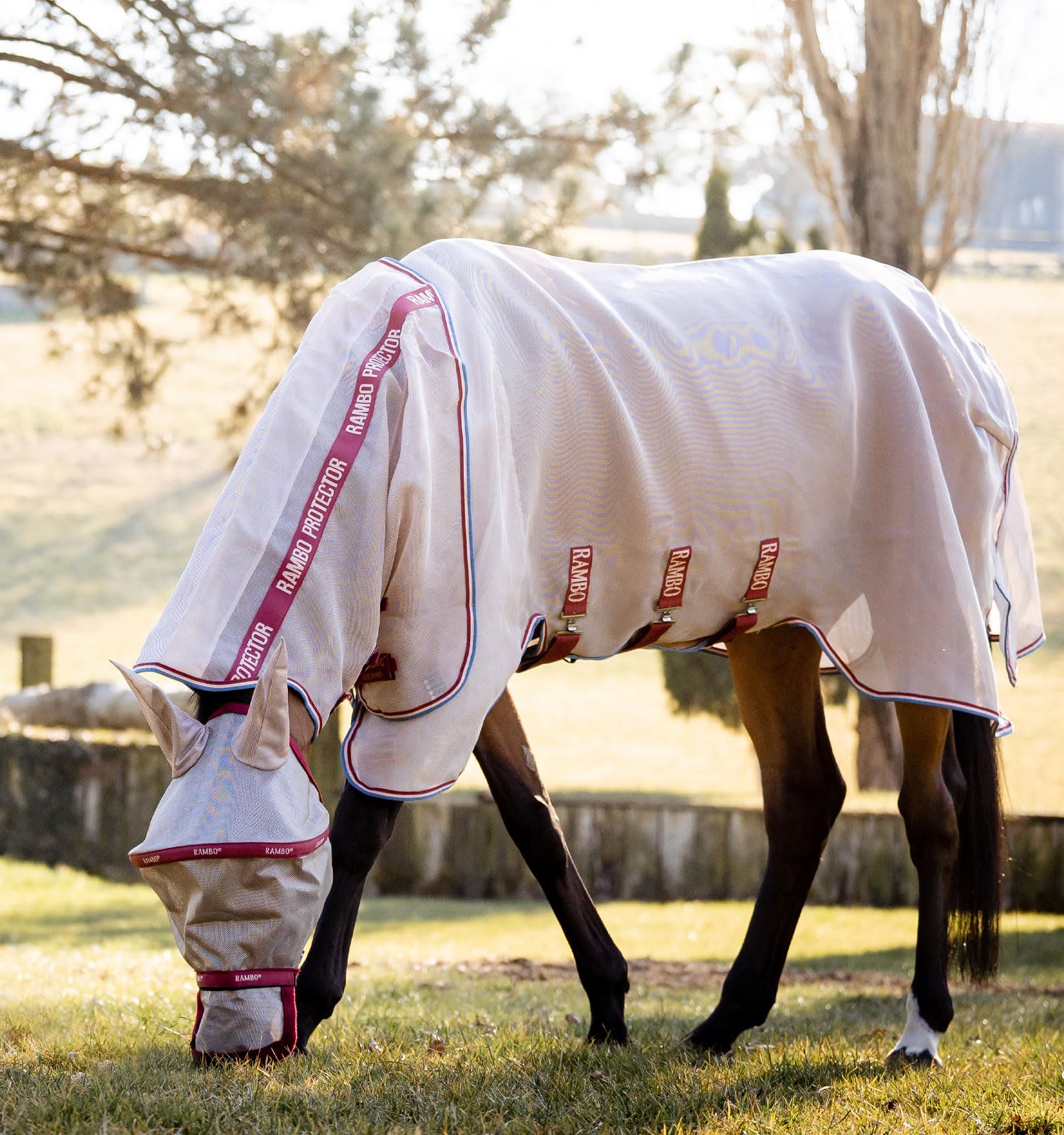 Horseware Rambo Protector Fly Sheet with Disc Front Closure (0g Light)
